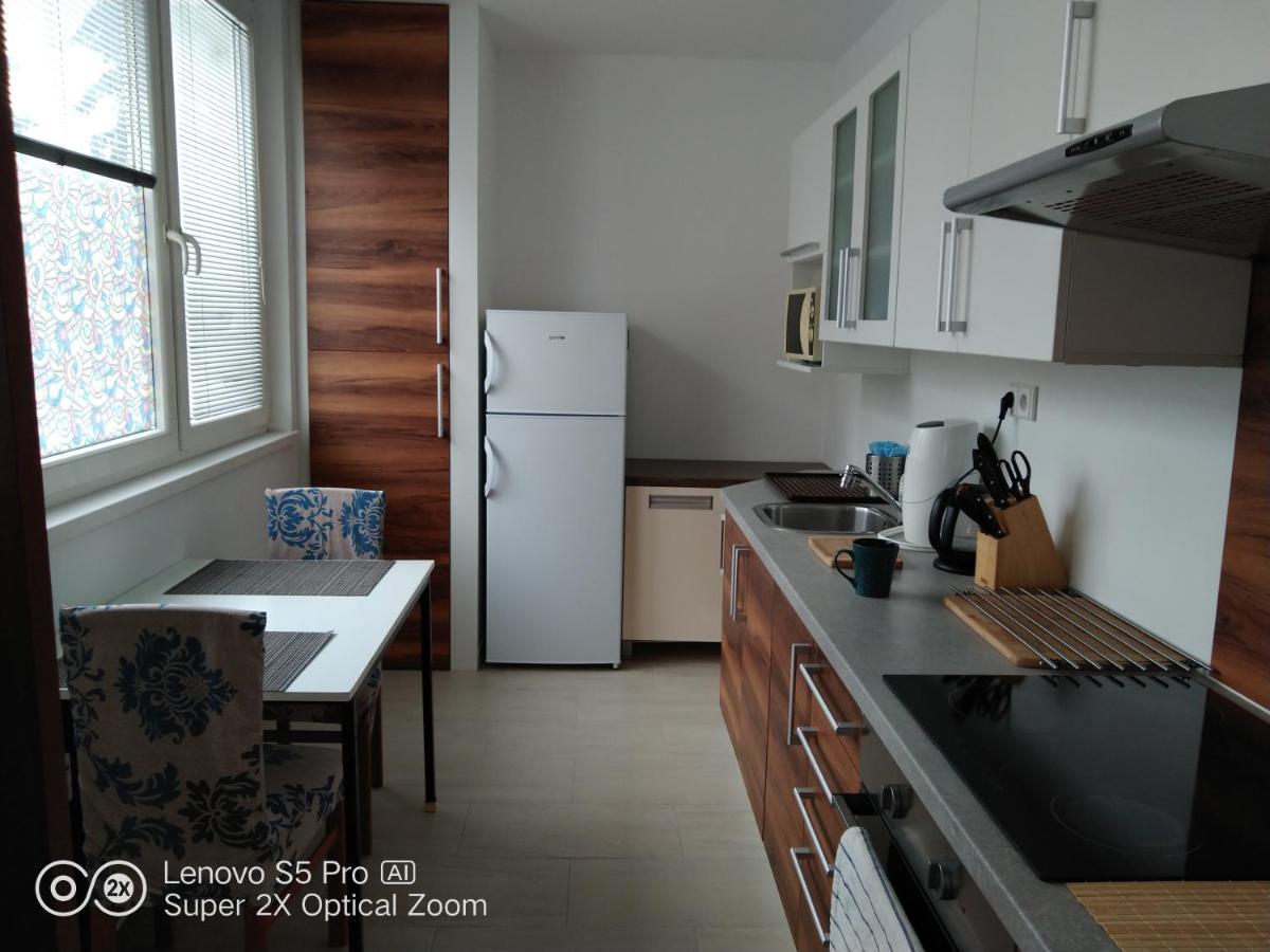 Apartman S Virivkou A Infrasaunou V Olomouci מראה חיצוני תמונה